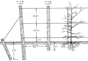 Stalpi de sustinere de capat Stalpi de sustinere de capat